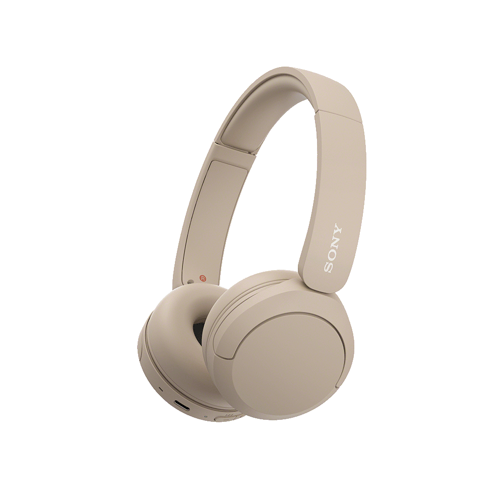 Sony WH-CH520 Wireless Bluetooth Headphone